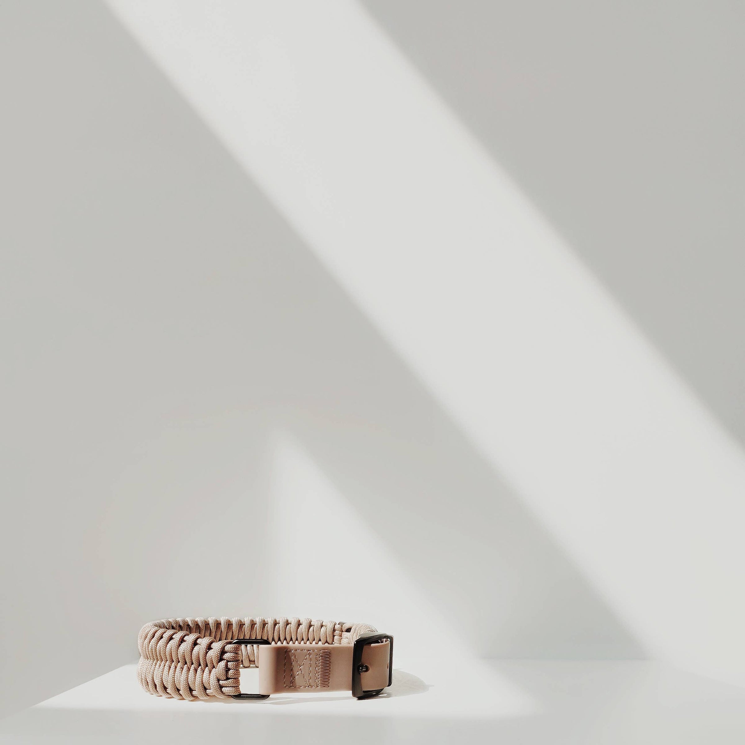 Fossil Wide- Dog Collar | The Tail That Got Away Fossil Wide- Dog Collar | The Tail That Got Away