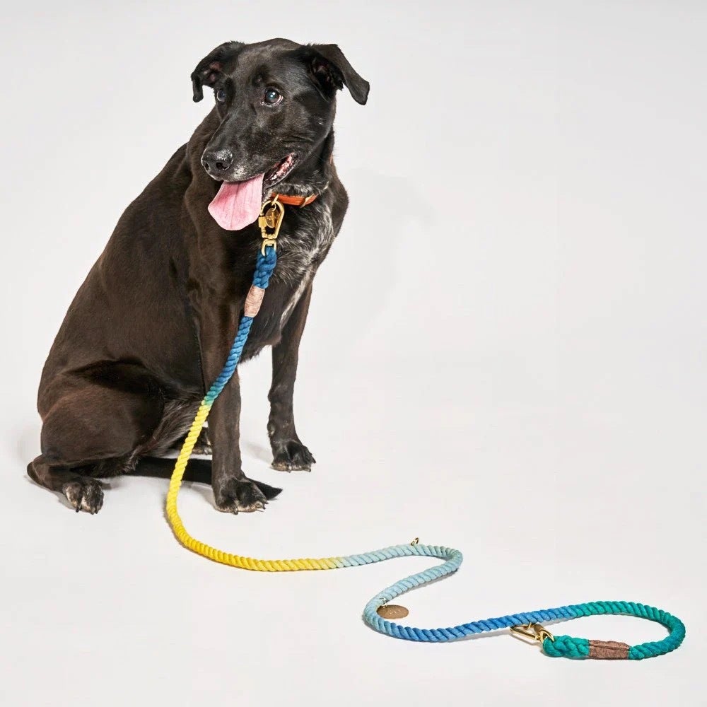 Found My Animal Azure Cotton Rope Dog Leash The Tail That Got Away