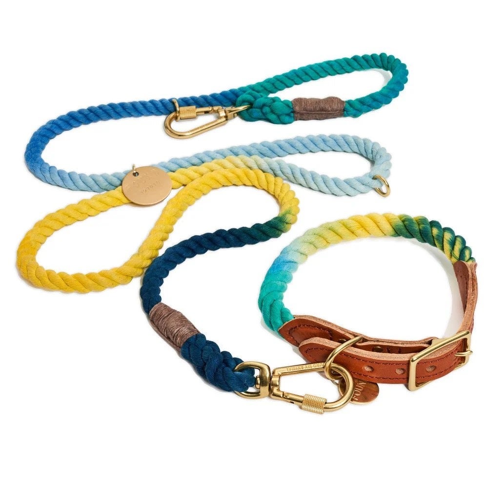 Found leash best sale